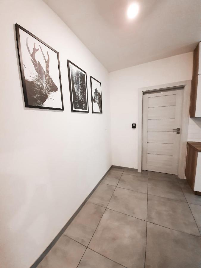 Ferienwohnung Apartament Krakow Arena No. 91 Exterior foto